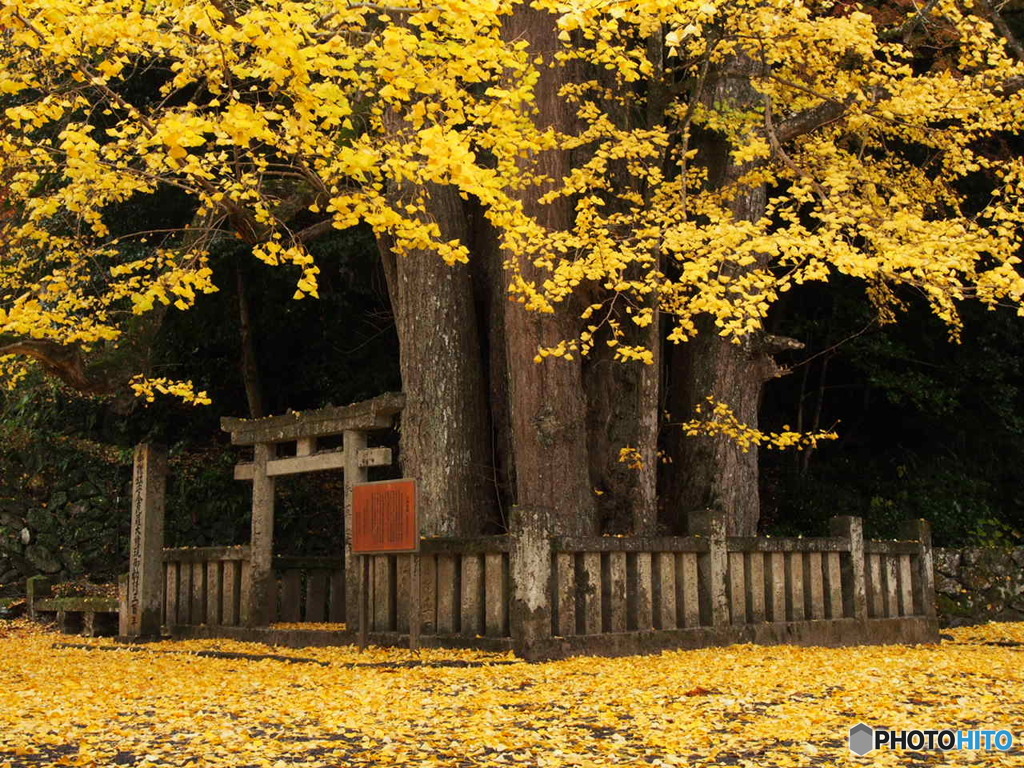 瑞應寺