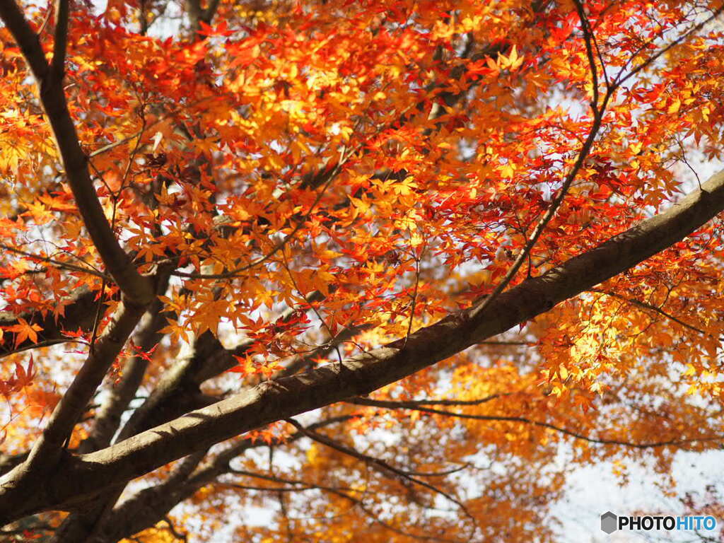 マイントピア別子