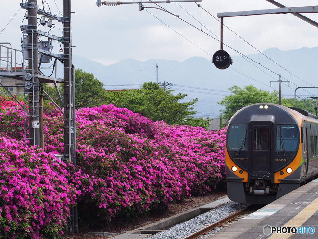 JR豊浜駅