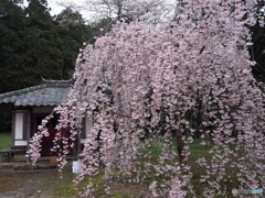 新長谷寺