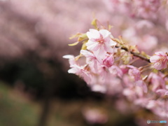福万寺公園
