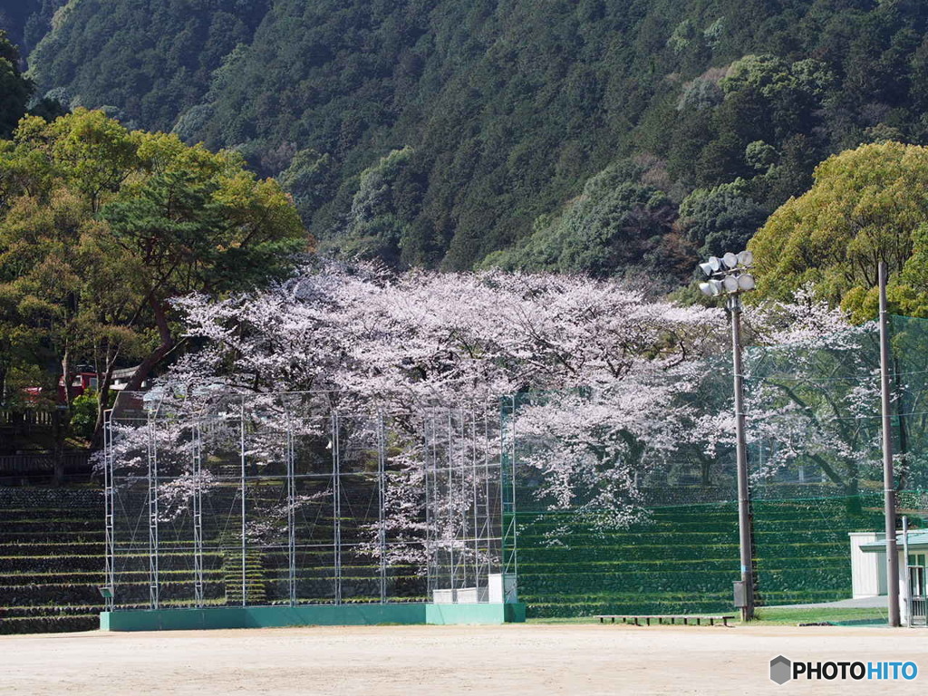 山根公園