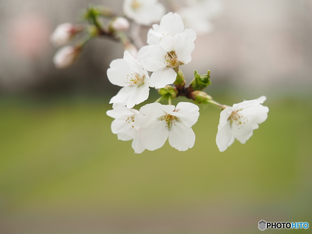 入野公園