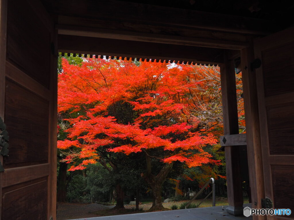 瑞應寺