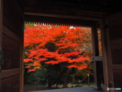 瑞應寺