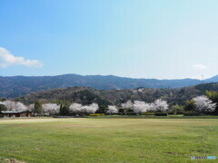 新田公園