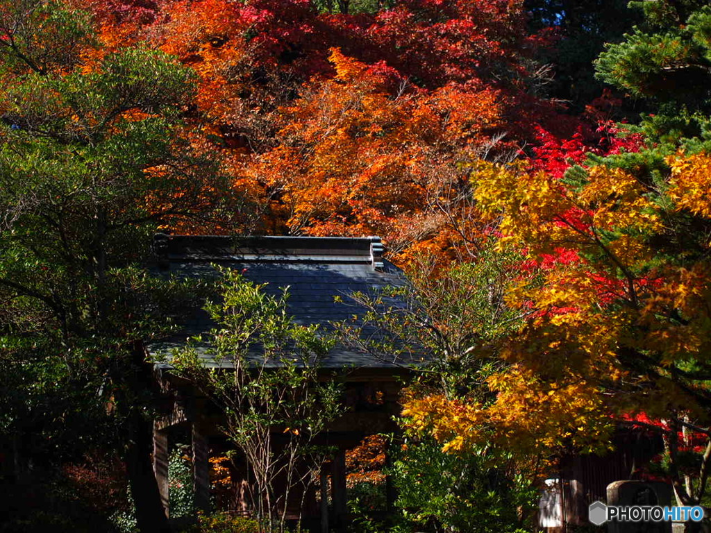 三角寺