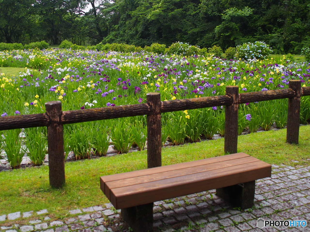 池田池公園