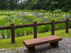 池田池公園