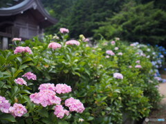 粟井神社
