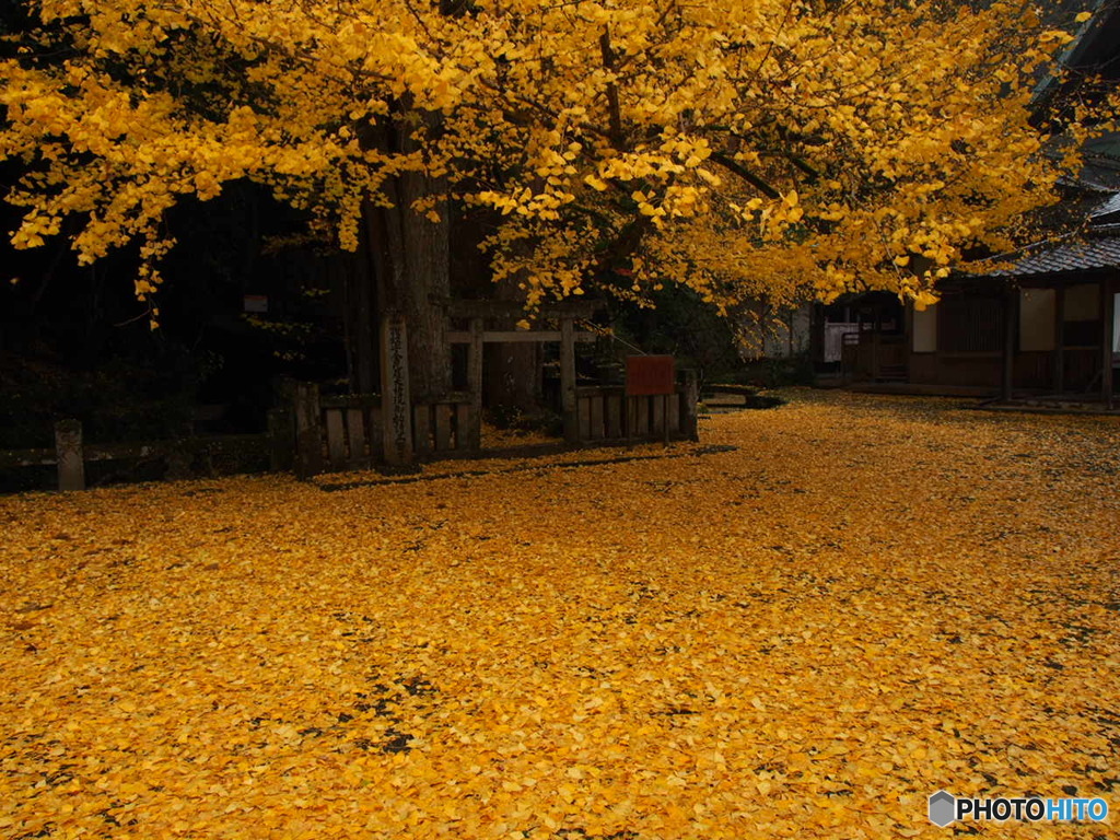 瑞應寺