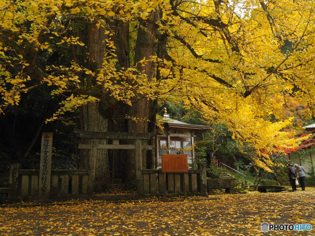 瑞應寺