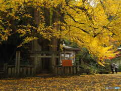 瑞應寺