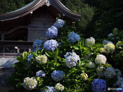 粟井神社