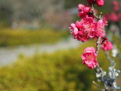 森と湖畔の公園