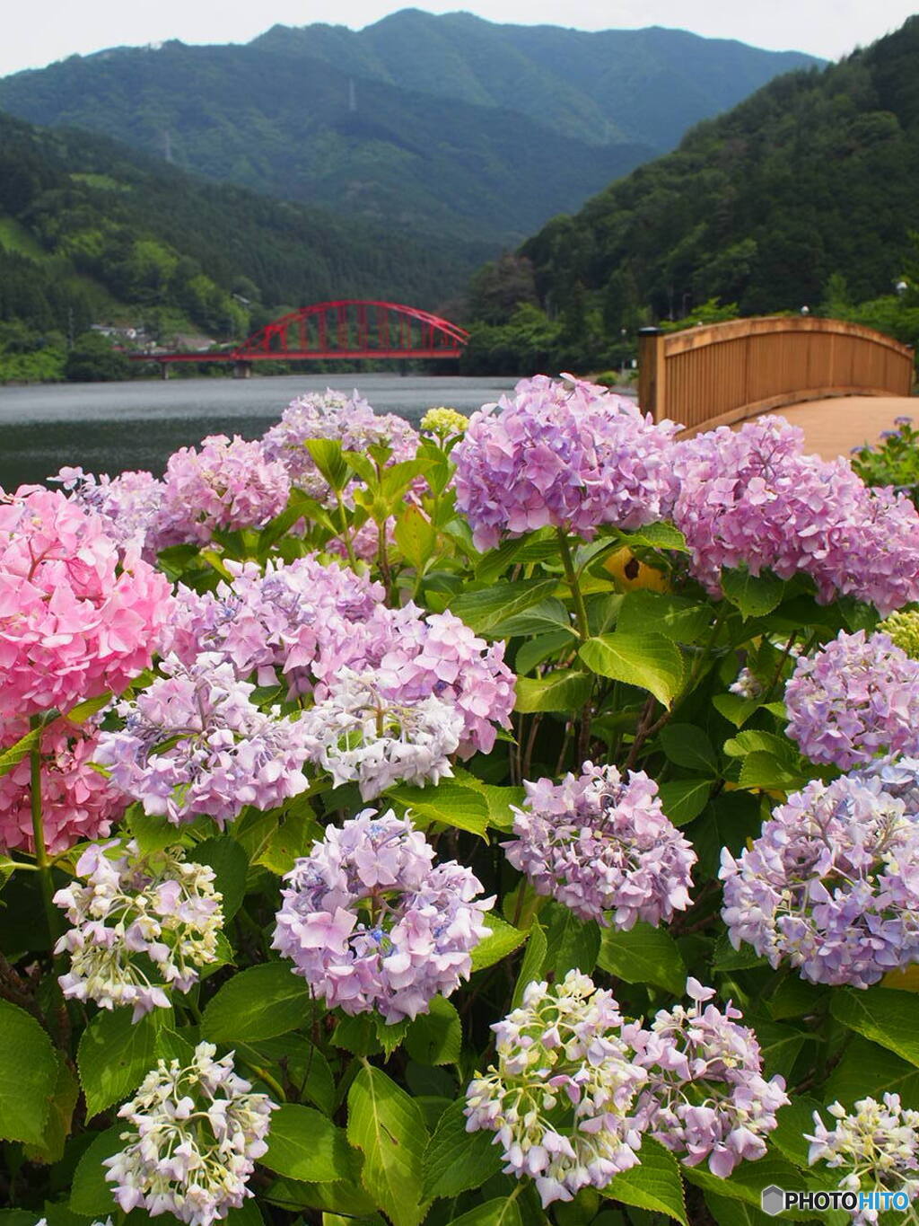 金砂湖