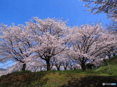 福万寺公園