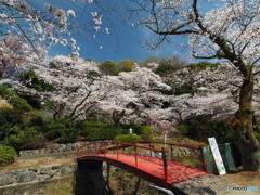 疎水公園