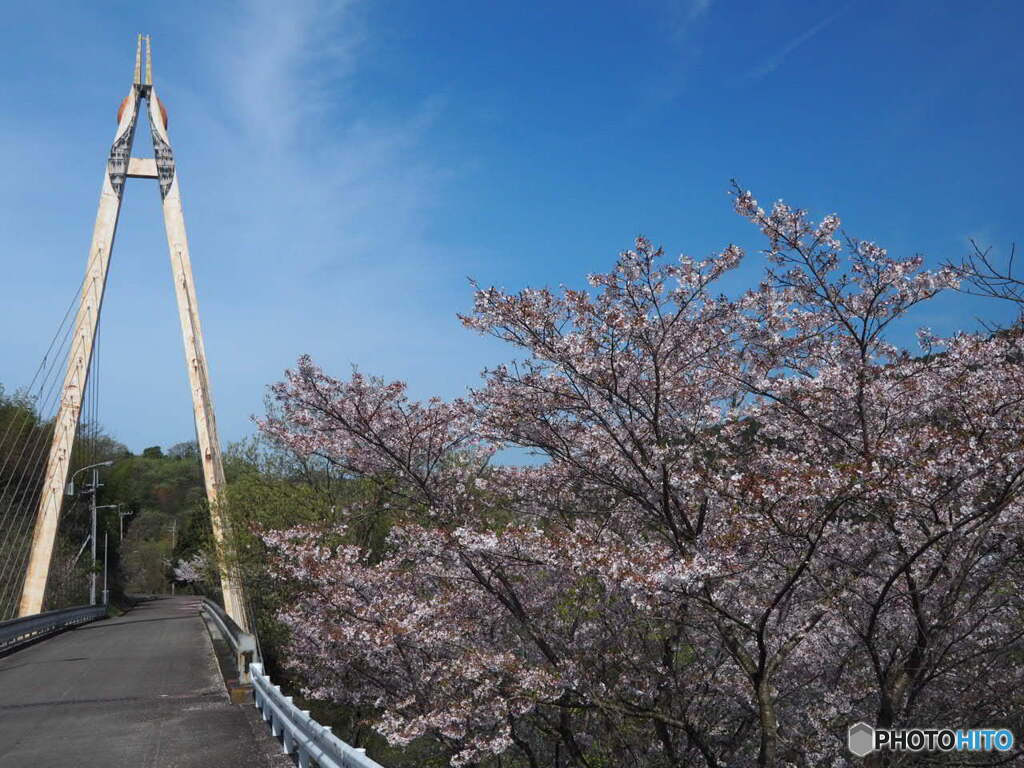 森と湖畔の公園