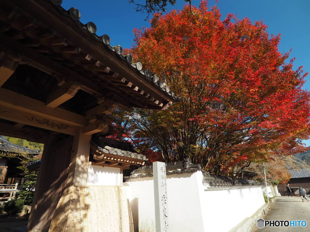 法泉寺