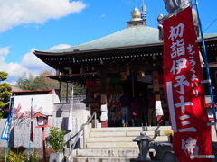 隻手薬師(香積寺)