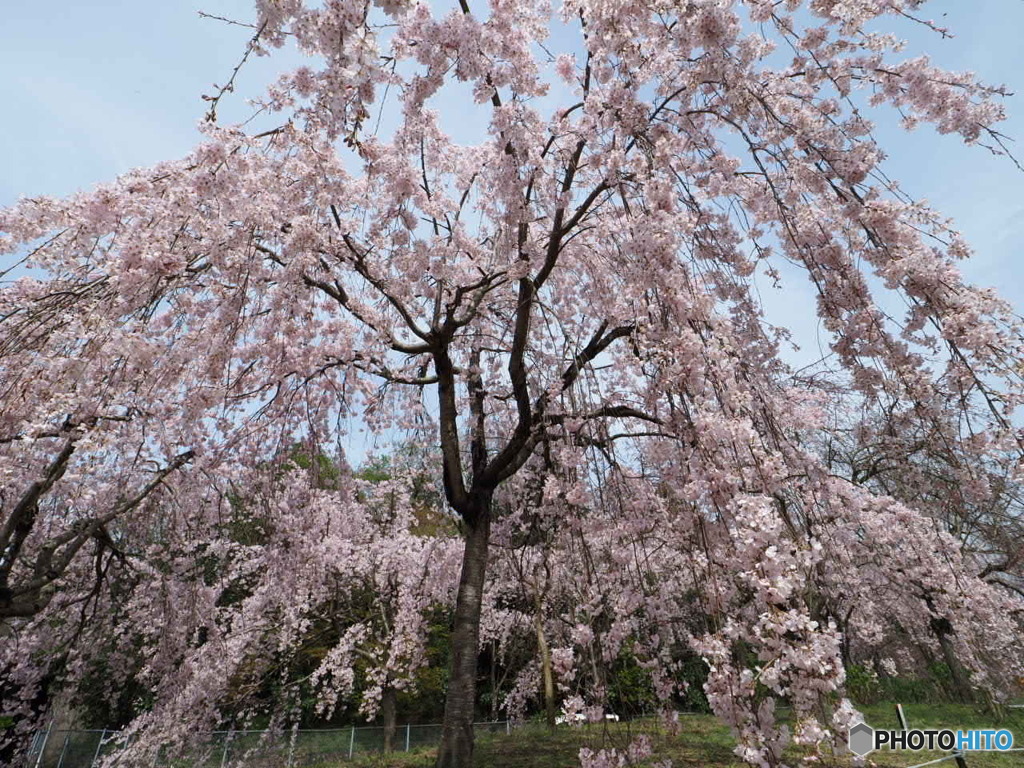 新長谷寺