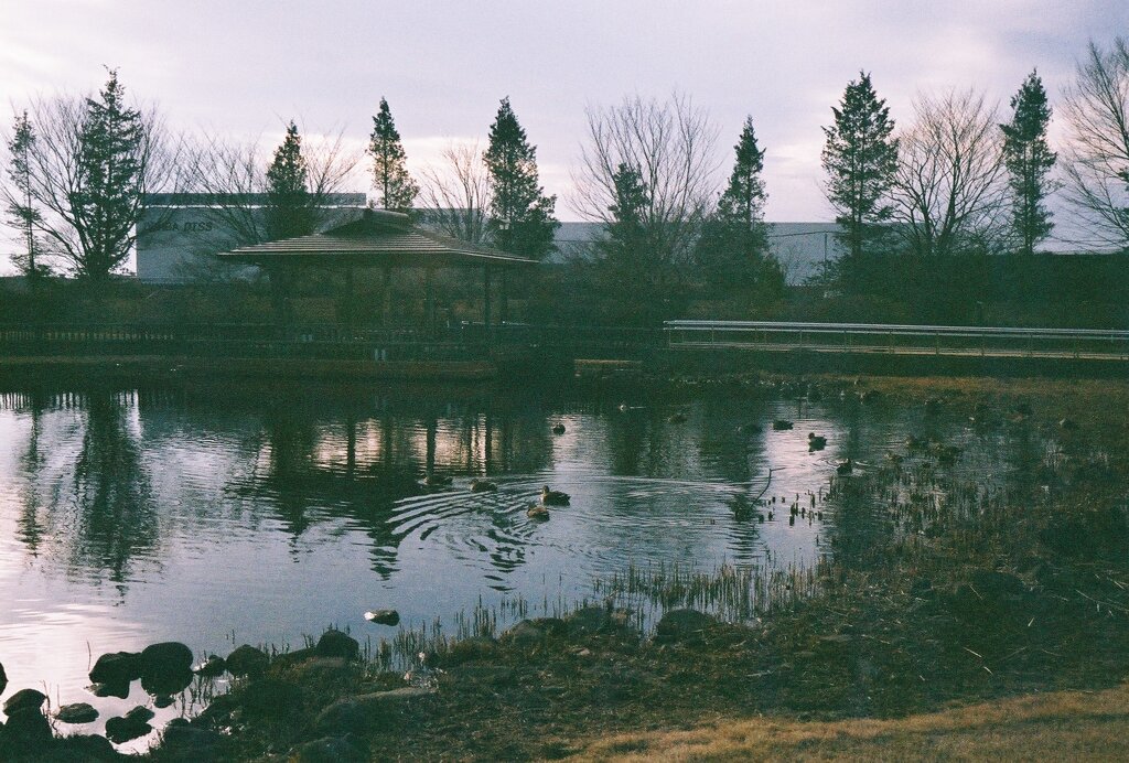 みかも山公園