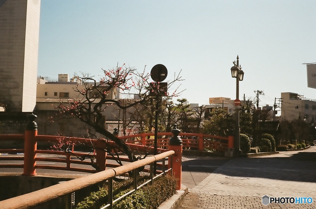 宇都宮 田川