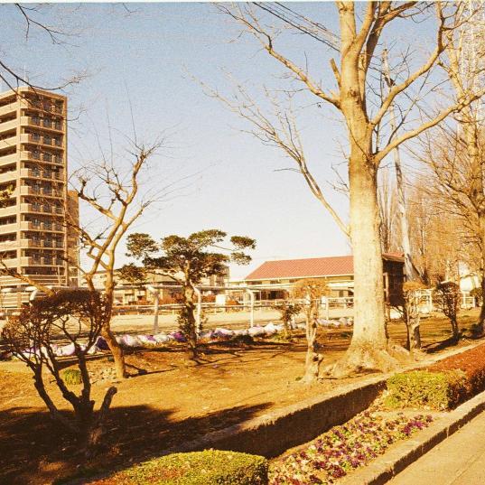 学校