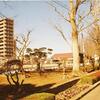 学校