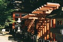 二荒山神社