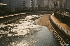 朝日を浴びた田川