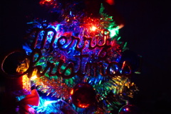 我が家初のクリスマスツリー