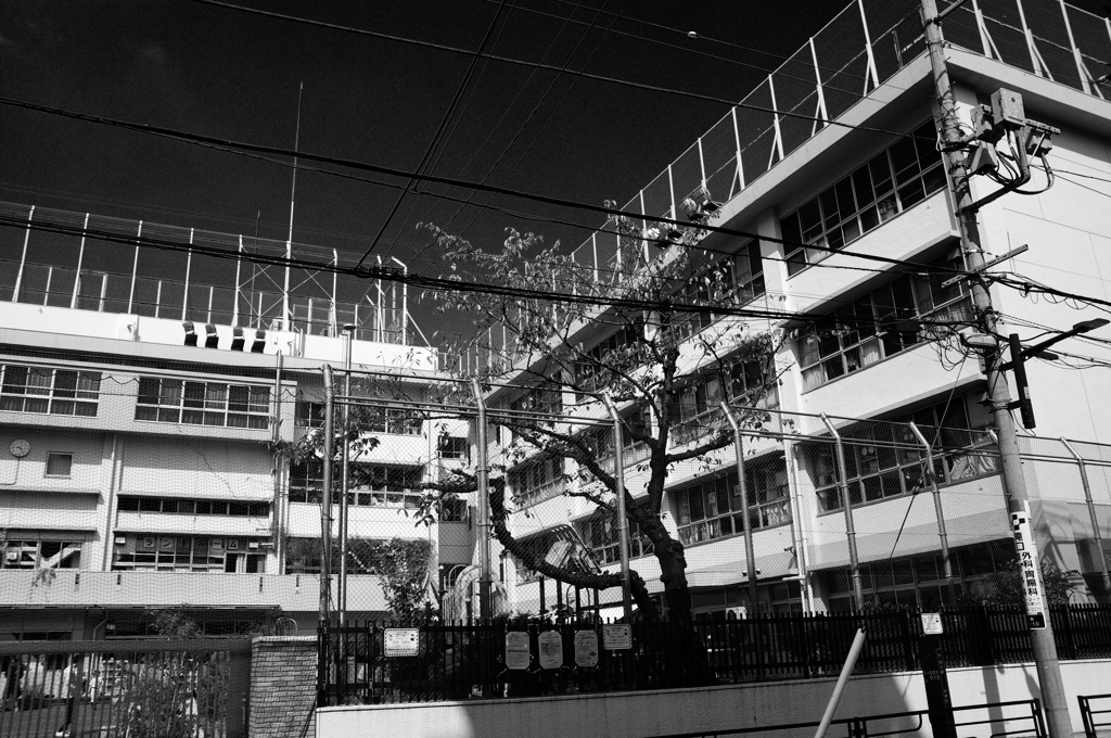 中学校