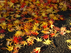 積み重なる色