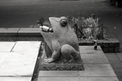 紅茶を咥えたカエル