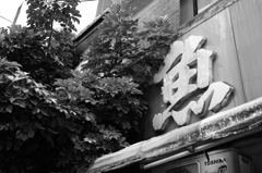 魚