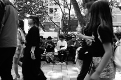 表参道通り 表参道通り