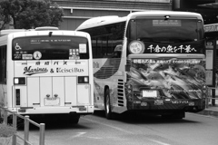 千倉の魚を千葉へ