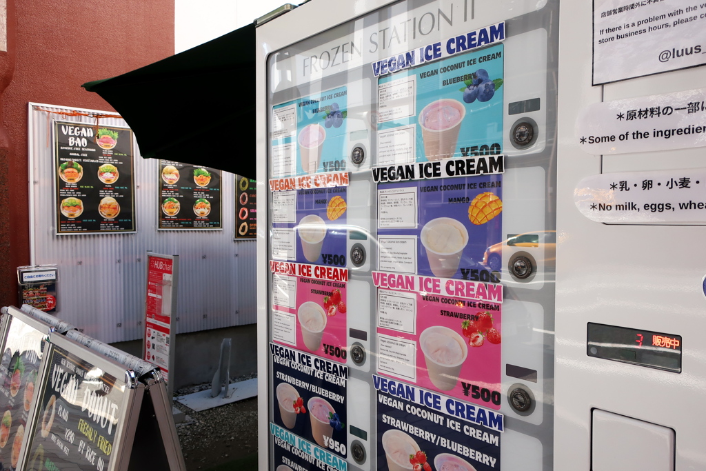 VEGAN ICE CREAM