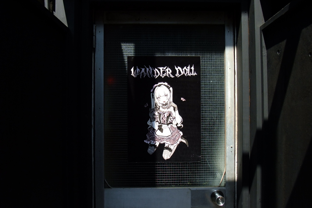 WONDER DOLL