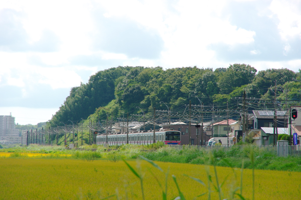 京成本線