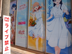 ライブ禁止