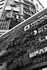 YODOBASHI UMEDA