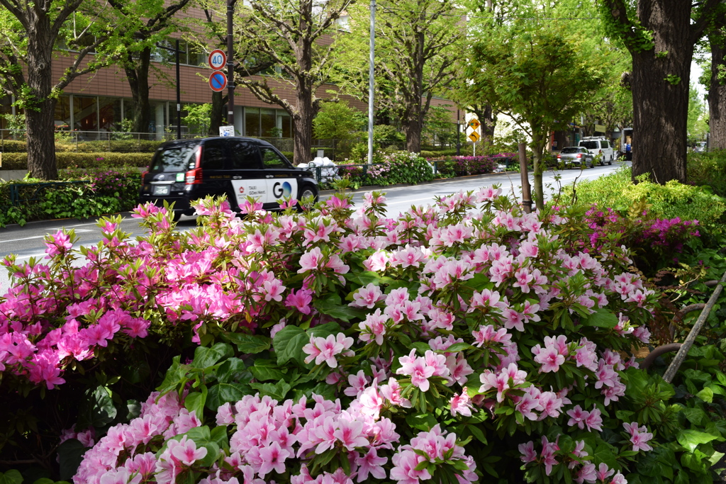 千駄ヶ谷駅前