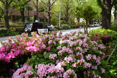 千駄ヶ谷駅前