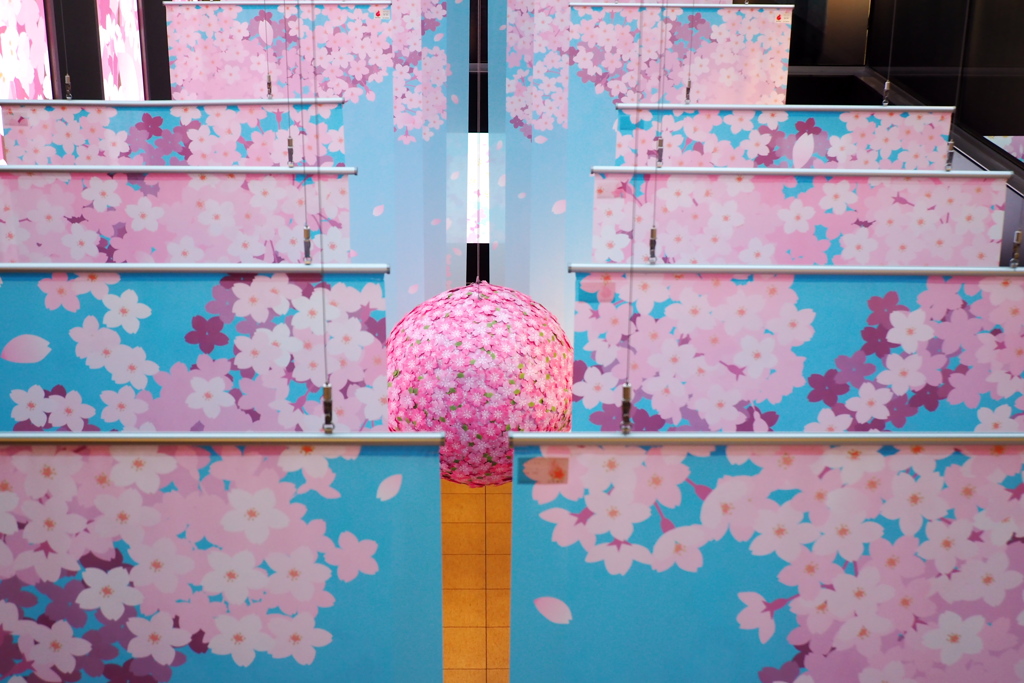 東京駅の桜