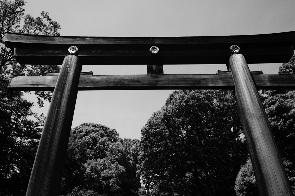 明治神宮鳥居