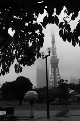 雨の日の東京タワー