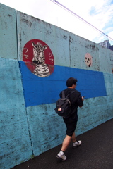 シマウマ